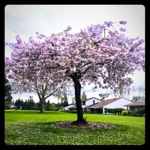 Meet your Posher, Letty